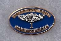 Pin - Longevity - Official USSVI pin-state membership years 1