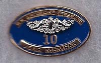 Pin - Longevity - Official USSVI pin-state membership years 10