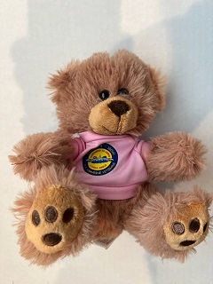 K4K Teddy Bear  pink shirt  polyester  7 inch